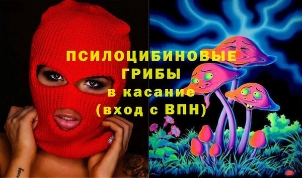спиды Касимов