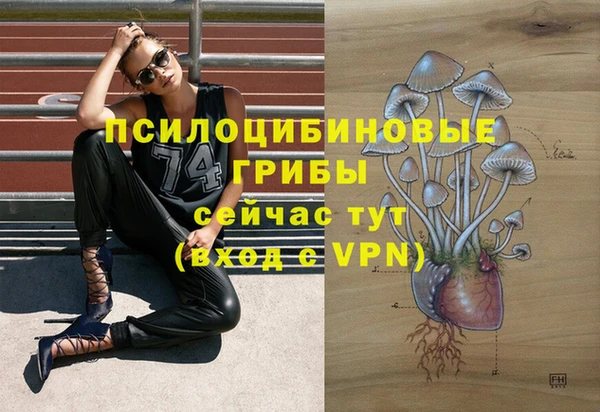 марки lsd Карпинск