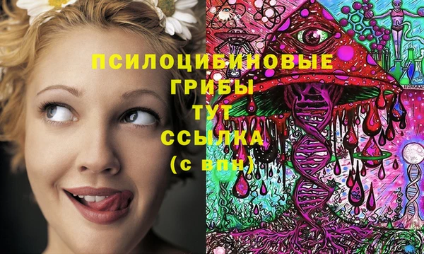 гашик Карталы