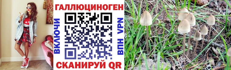 Купить  Окуловка  Галлюциногенные грибы мицелий 